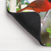 Tapis De Souris Cardinal masculin (Coin)