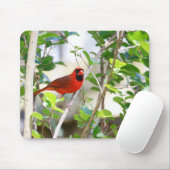 Tapis De Souris Cardinal masculin (Avec souris)