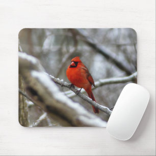 Tapis De Souris Cardinal masculin