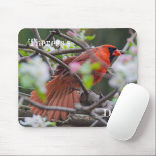 Tapis De Souris Cardinal masculin au printemps