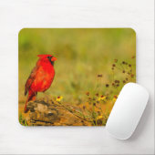 Tapis De Souris Cardinal masculin sur le journal (Avec souris)