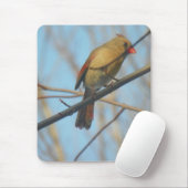 Tapis De Souris Cardinal/Oiseau féminin (Avec souris)