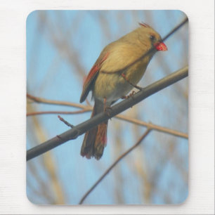 Tapis De Souris Cardinal/Oiseau féminin
