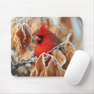 Tapis De Souris Cardinal rouge dans les feuilles d'automne gelées
