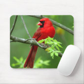 Tapis De Souris Cardinaux du nord (Avec souris)