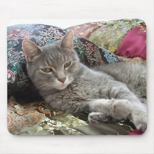 Tapis De Souris Caresses sur le mousepad de coussin (Devant)