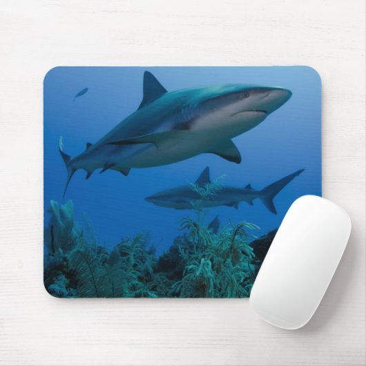 Tapis De Souris Caribbean Reef Shark (Avec souris)