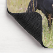 Tapis De Souris Carlin noir collant Tounge (Coin)