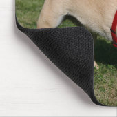 Tapis De Souris Carlin utilisant le harnais rouge (Coin)