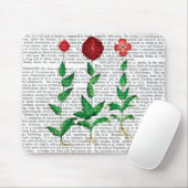 Tapis De Souris Carnation italienne 2 (Avec souris)