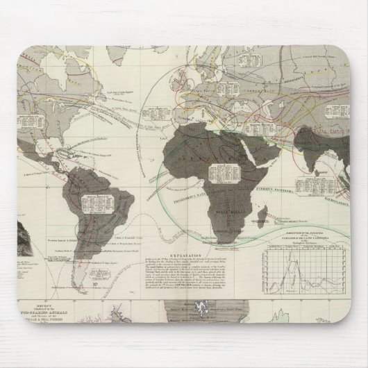 Tapis De Souris Carnivore (Devant)