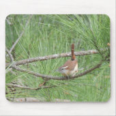 Tapis De Souris Carolina Wren in Pine Tree (Devant)