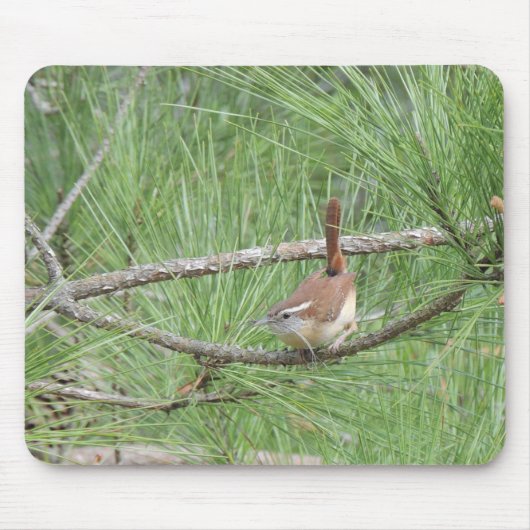 Tapis De Souris Carolina Wren in Pine Tree (Devant)