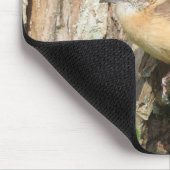 Tapis De Souris Carolina Wren Pad (Coin)