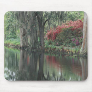 Tapis De Souris Caroline du Sud, Charleston
