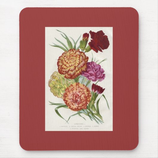 Tapis De Souris Caroties (Devant)