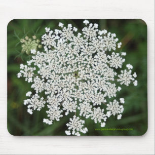 Tapis De Souris Carotte sauvage