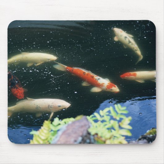 Tapis De Souris Carpe (Devant)