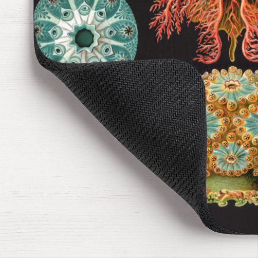 Tapis De Souris Carré d'écureuil marin Mousepad (Coin)