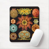 Tapis De Souris Carré d'écureuil marin Mousepad (Avec souris)