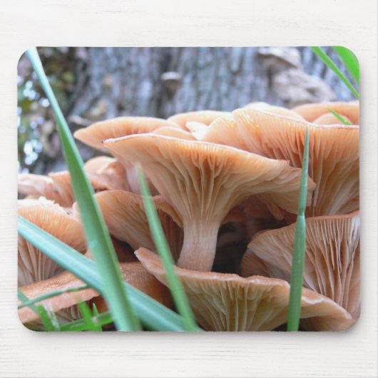 Tapis De Souris Carte de forêt de champignon (Devant)