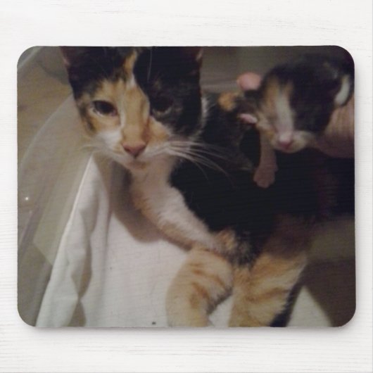 Tapis De Souris Carte mère et souris bébé (Devant)