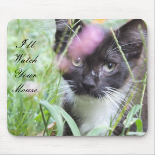 Tapis De Souris Carte Souris Noir Et Blanc Kitten