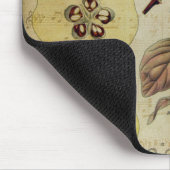 Tapis De Souris Carte vintage (Coin)