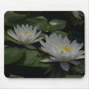 Tapis De Souris Cartes Lily Nénuphars Lotus Blanches