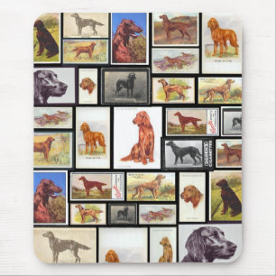 Tapis De Souris Cartes vintages de cigarettes de setter irlandais 