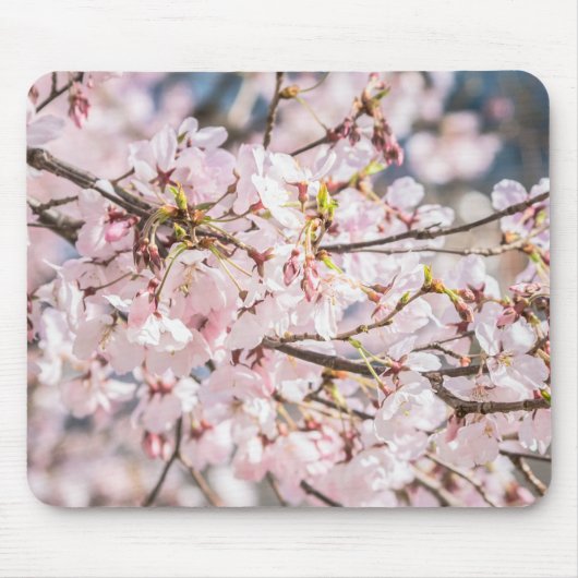 Tapis De Souris Cartouche de souris Cherry Blossom (Devant)