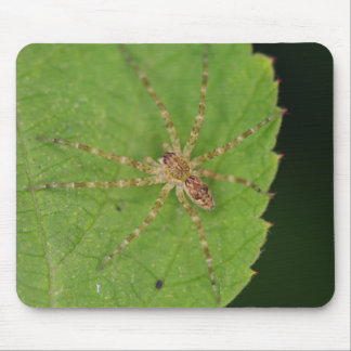 Tapis De Souris Cartouche de souris Spider