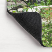 Tapis De Souris Cascade Garden Pond (Coin)