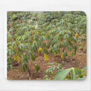 Tapis De Souris Cassava