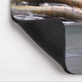 Tapis De Souris Castor (Coin)