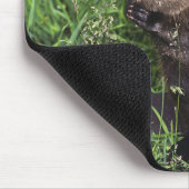 Tapis De Souris Castor (Coin)
