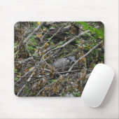 Tapis De Souris Castor occupé (Avec souris)