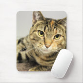 Tapis De Souris Cat (Avec souris)