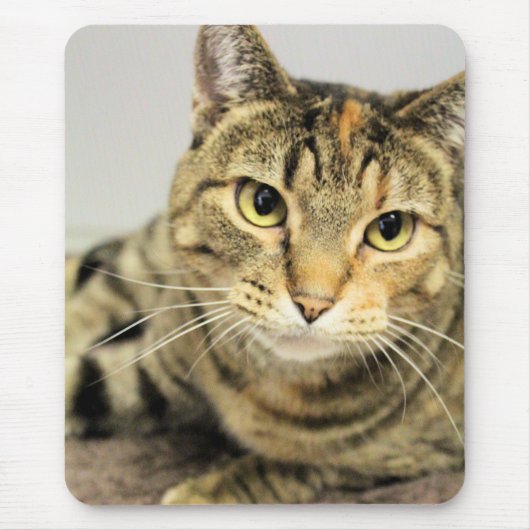 Tapis De Souris Cat (Devant)