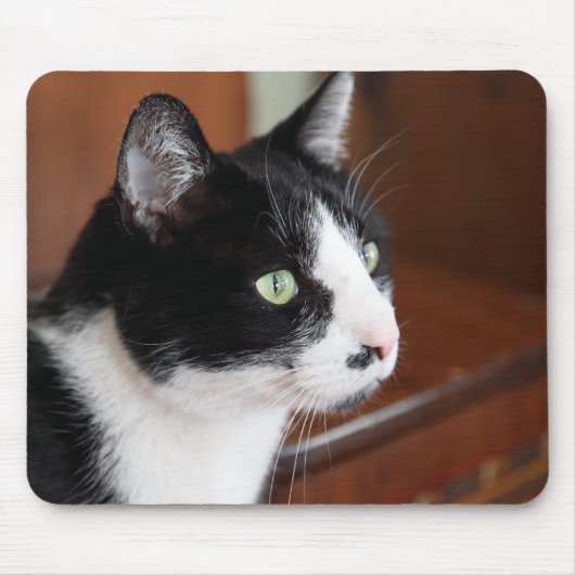 Tapis De Souris Cat (Devant)