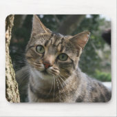 TAPIS DE SOURIS CAT (Devant)