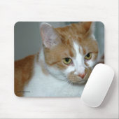 TAPIS DE SOURIS CAT (Avec souris)