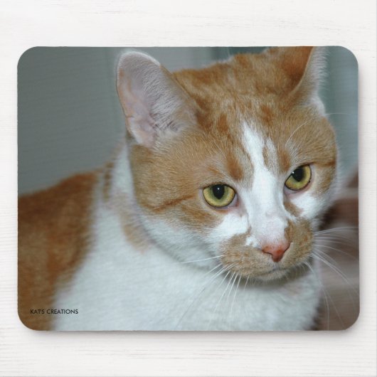 TAPIS DE SOURIS CAT (Devant)