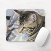 Tapis De Souris Cat (Avec souris)