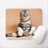 Tapis De Souris Cat (Avec souris)