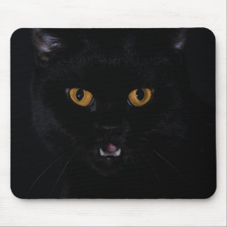 Tapis De Souris Cat