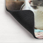 Tapis De Souris Cat (Coin)