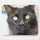 Tapis De Souris Cat (Devant)