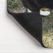 Tapis De Souris Cat 10, Plaque Souris (Coin)