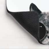 TAPIS DE SOURIS CAT. FRAIS (Coin)